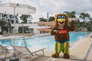 Басейн в Falkensteiner Club Funimation Borik або поблизу