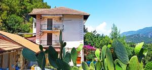 a house with a cactus in front of it at Swiss Eviniz Hotel in Adrasan