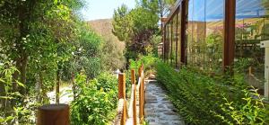 Um jardim em Swiss Eviniz Hotel