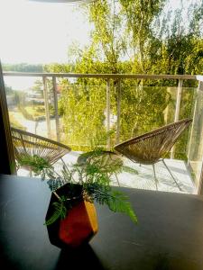 einen Balkon mit zwei Stühlen und einer Pflanze auf einem Tisch in der Unterkunft Loft 22 DELUX in Wałcz