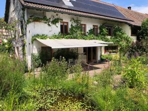 Ferienhaus mit Naturgarten في Dachsen: منزل على السطح مع لوحات شمسية