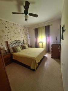 a bedroom with a bed and a ceiling fan at CAROLINA SUITE APARTMENT in Candelaria