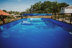 una gran piscina azul en un patio en Buzás Pince Vendégház, en Ecséd