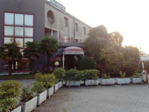 Zahrada ubytování Hotel Niki