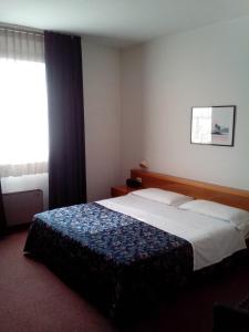 una camera con letto e finestra di Hotel Niki a Tribiano