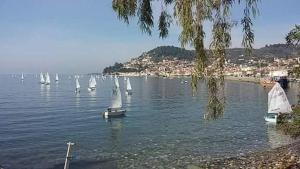 a group of boats with white sails in the water at North Evia Evanthia Greece in Kourkouloí +8 photos
