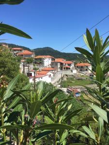 una vista de una ciudad desde detrás de algunas plantas en North Evia Evanthia Greece en Kourkouloí