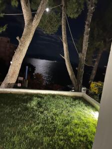 Θέα στο ποτάμι κοντά σε αυτό το ξενοδοχείο