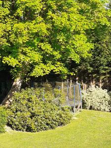 a bench sitting in the grass under a tree at Manoir de l'As de Trèfle in Isneauville