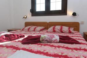 Fotografie z fotogalerie ubytování Apartments Villa Castor v destinaci Pefkochori