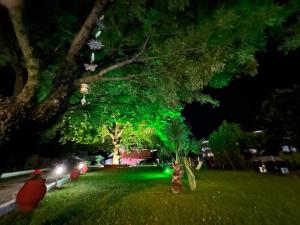 a park at night with a tree with green lights at Studios Λύδια in Paralía Skotínis