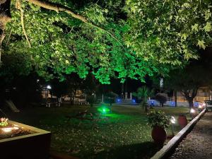 a park at night with a picnic table and lights at Studios Λύδια in Paralía Skotínis