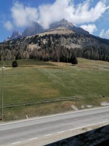 a view of a mountain with a field and a road at Appartamenti Val di Fassa Passo Costalunga 223, 119, 114 in Vigo di Fassa