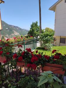 un montón de flores rojas en un jardín en B&B A casa di Carla, en Castelsaraceno