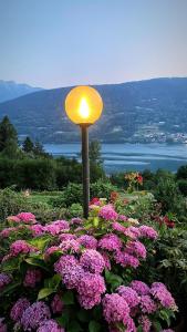 um poste de luz com flores cor-de-rosa e uma luz em Lake Apartment Ischia Red em Tenna 