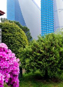 Κήπος έξω από το ORBY CITY HOTEL 5*