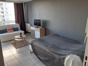 - une chambre avec un lit, un canapé et une télévision dans l'établissement Ideal T1 BALCON 2 personnes, à Saint Etienne