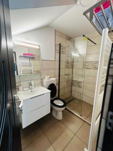 La salle de bains est pourvue de toilettes, d'un lavabo et d'une douche. dans l'établissement Reny's Studio Apartments -Hiperbara, à Livezeni