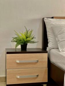 a nightstand with a plant on it next to a bed at Apartment Orik in Orikum