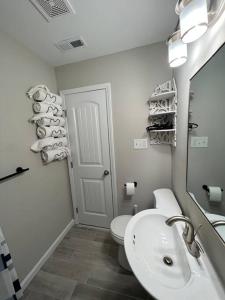 a bathroom with a sink and a toilet and a mirror at Experience Raleigh NC 8 minutes from the heart in Raleigh