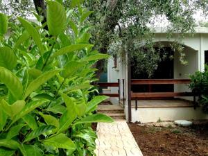 A garden outside Holiday Apartment orchidea with swimming pool and private beach -3