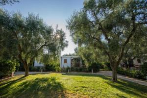 A garden outside Holiday Apartment orchidea with swimming pool and private beach -3