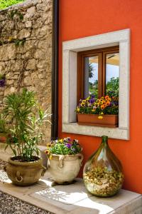 a window with two pots of flowers and a mirror at Crocevia - Locanda carsica contemporanea in Trieste