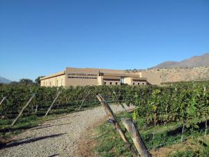 a building in the middle of a vineyard at Estancia Colome in Molinos