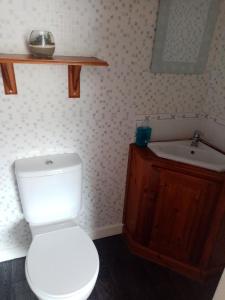 a bathroom with a white toilet and a sink at The Guest House in Abergavenny