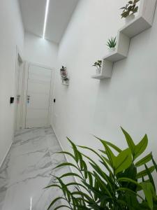 Fotografia z galérie ubytovania LudBen House v Neapole