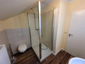 a bathroom with a glass shower with a toilet at Ferienwohnung Am Bahnhof in Hasselfelde