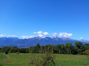 ein grünes Feld mit Bergen im Hintergrund in der Unterkunft Agriturismo Casa Marietta in Tremea