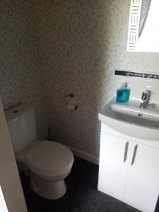 a bathroom with a toilet and a sink at The Guest House in Abergavenny