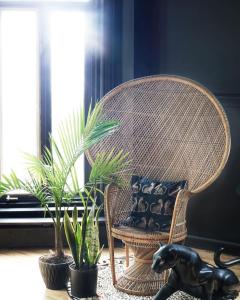 a wicker chair in a room with plants and a dog statue at Auberge Du Bon Yeu in Saint-Siméon