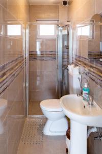 a bathroom with a toilet and a sink and a shower at Villa Lazar in Trpejca