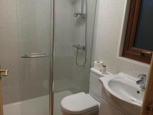 a bathroom with a shower and a toilet and a sink at Orme View Lodges in Bangor +41 photos