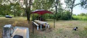 Zdjęcie z galerii obiektu Uniquement pour les amoureux de la Nature, Charmant bungalow entre océan, estuaire et vignes, toutous bienvenue w mieście Saint-Vivien-de-Médoc