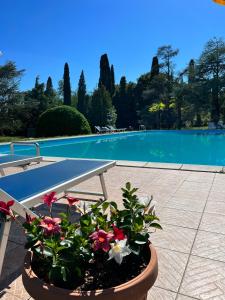 una maceta con flores junto a una piscina en Villa Elena, en Orentano