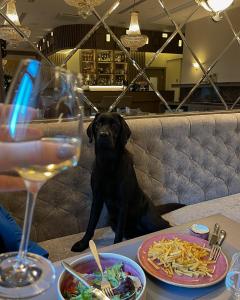a dog sitting at a table with a glass of wine at CALVARY Hotel & Restaurant Vilnius in Vilnius