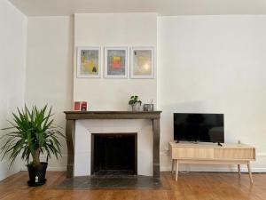 a living room with a fireplace and a tv at Appartement Citadelle-Victor-Hugo in Besançon