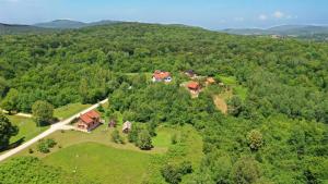 an aerial view of a house in the middle of a forest at Apartment Stjepan in Rakovica