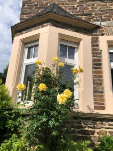 a building with two windows and yellow flowers at Mosel-Erker in Reil