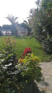 Jardín al aire libre en Dionisis Apartments