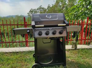 MombercelliにあるOasi del Monferrato - appartamento verdeの塀の横の芝生に座る焼き