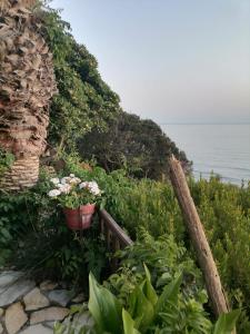 een bloempot op een hek naast de oceaan bij Dionisis Apartments in Kounopetra