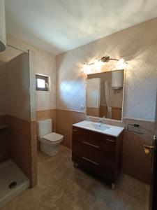 a bathroom with a sink and a toilet and a mirror at FIGONERO 4-6 in Las Peñas de Riglos