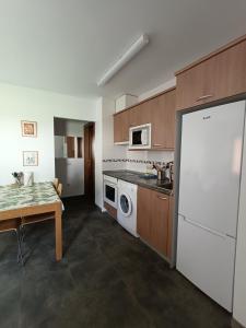 a kitchen with a white refrigerator and a table at FIGONERO 4-6 in Las Peñas de Riglos