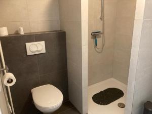 a small bathroom with a toilet and a shower at Kustverhuur, Park Schoneveld, Duinroos 099 in Breskens +13 photos