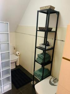 a bathroom with a toilet and a shelf with towels at Apartamentos LAMAROSA -ATICO ,Vistas al Mar Cantabrico PARKING in Burela de Cabo +21 photos