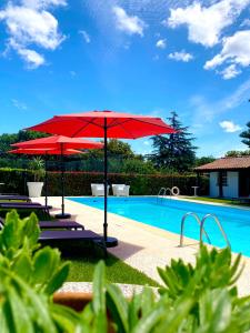 Bazén v ubytování Quinta Dom Sapo - Agroturismo nebo v jeho okolí